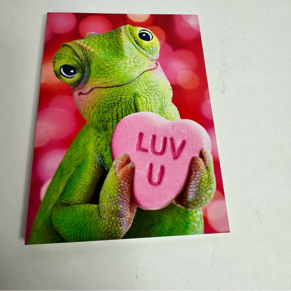 6 Avanti Greeting cards - Lizard luv U candy
Holiday: Valentine’s Day
